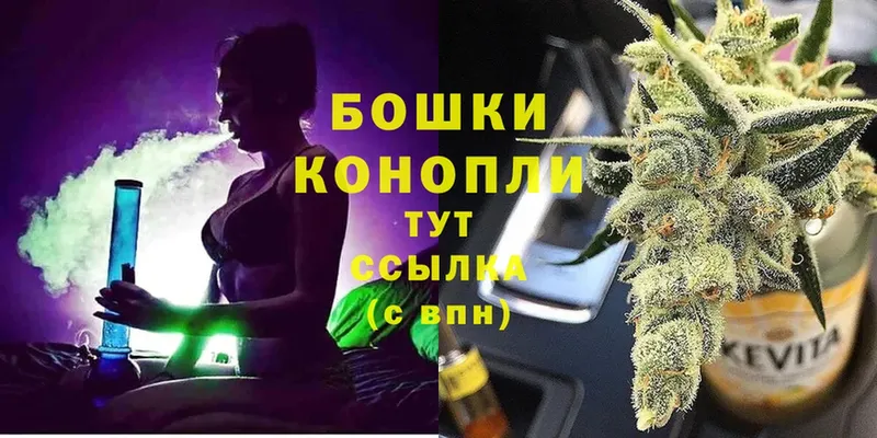 МЕГА как войти  Пошехонье  Канабис Ganja  как найти  